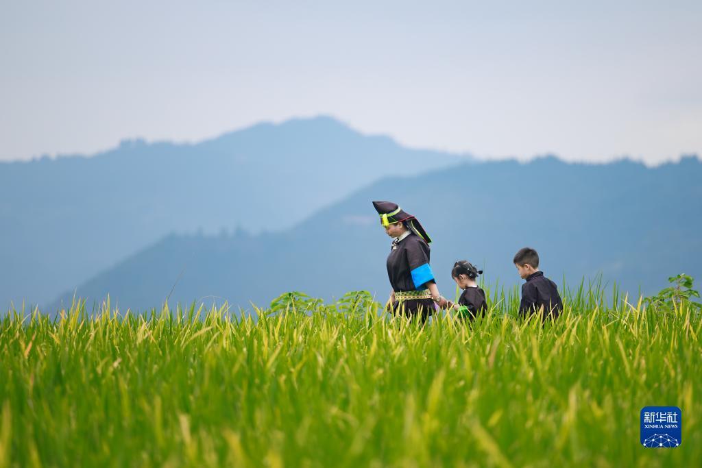 优游代理注册